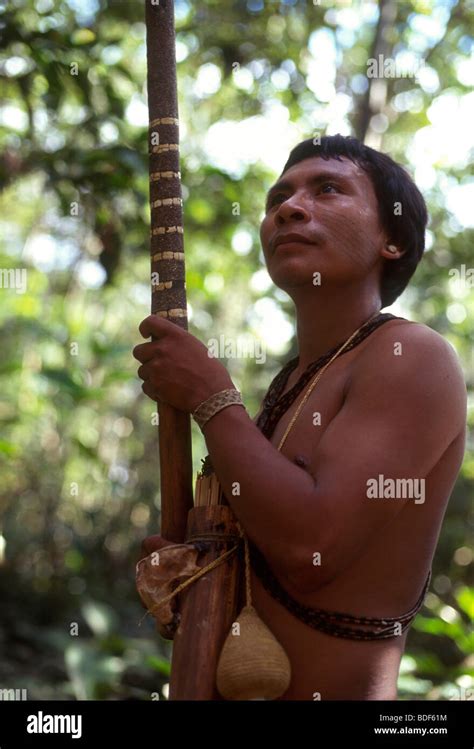 Matis Indigenous People Amazon Rain Forest Brazil Stock Photo Alamy