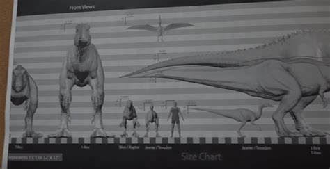 Jurassic Park 3 Comparative Size Chart