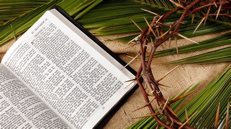 Palm Sunday 2023 What Do Christians Celebrate On Palm Sunday Meaning