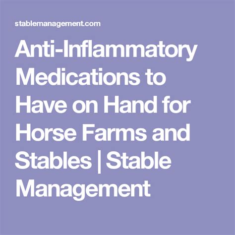 Anti Inflammatory Medications To Have On Hand For Horse Farms And
