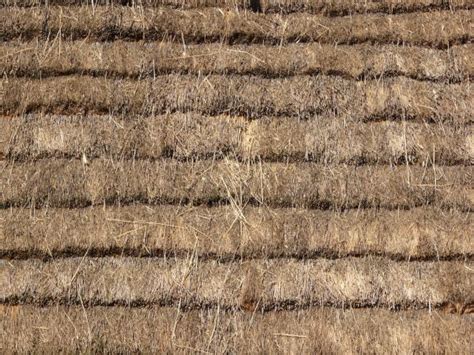 Brown Straw Roof Texture 0068