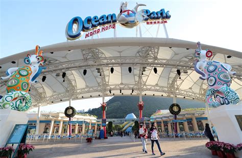 Hong Kong S Ocean Park To Tap Staycation Market With New Activities Doesn T Expect To Be