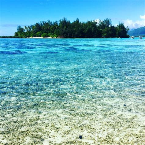 Crystal Clear Waters Moorea Tahiti Frenchpolynesia Ocean Island