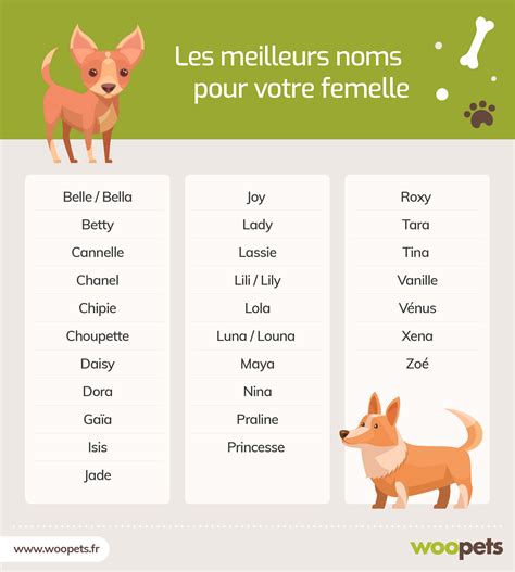 Pr Nom Pour Petit Chiot Femelle Pr Nom Chiot Femelle Rare Shotgnod