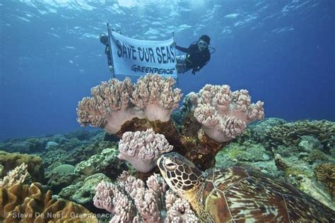 An Urgent Wake Up Call To Protect Our Oceans
