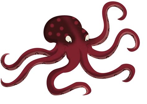 Octopus Png Photo Octopus Png Clipart Large Size Png Image Pikpng