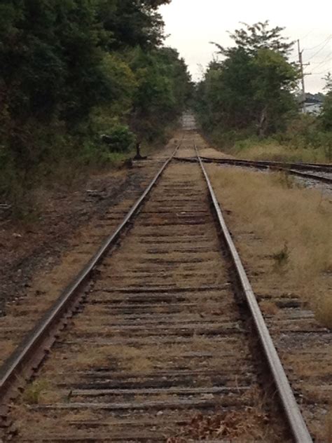 Abandoned Rail Road Tracks Near My House Train Tracks Abandoned