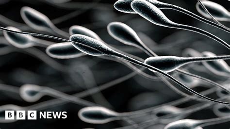 Freeze Sperm At 18 Bioethicist Urges Men Bbc News