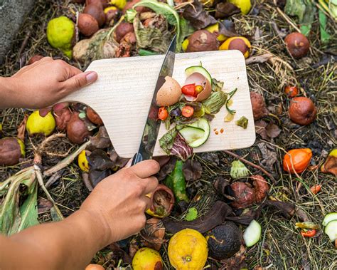 What Is Peat Free Compost And Why Should I Buy It Our Guide Explains