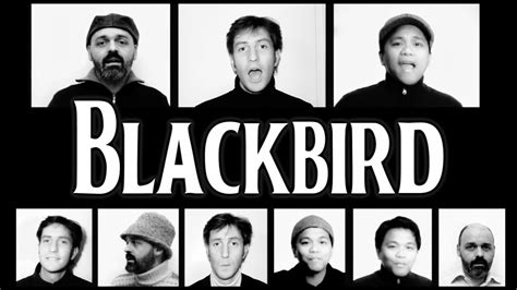 Blackbird The Beatles A Cappella Cover Youtube