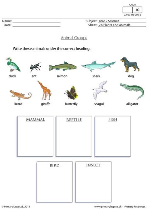 Animal Groups 1 Worksheets Samples