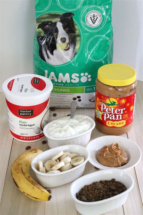 Homemade Dog Ice cream Recipe | Dog food recipes, Dog ice cream, Dog