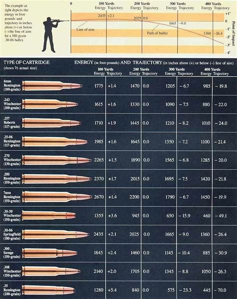 High Powered Rifle Calibers Chart