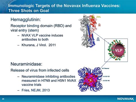The novavax vaccine works by teaching the immune system to make antibodies to the spike protein. Novavax: A Unique Opportunity - Novavax, Inc. (NASDAQ:NVAX ...