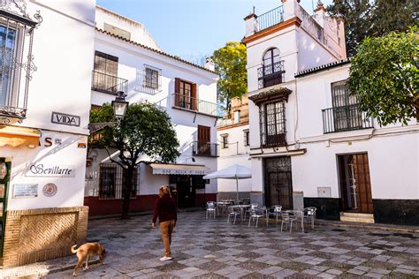 Santa Cruz El Barrio De Sevilla Que Condensa Más Historia Y Belleza