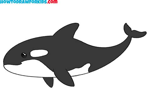 How To Draw A Killer Whale Easy Drawing Tutorial For Kids