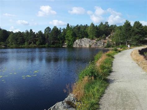 the park - Bilde av Baneheia i Kristiansand - TripAdvisor