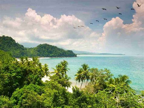 Limon Province Costa Rica Important Things To Know