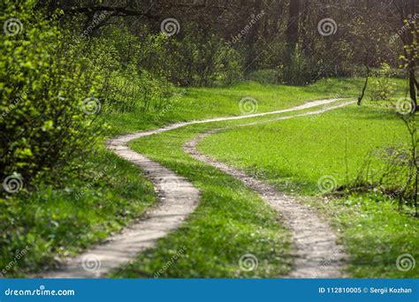 Path In Forest To Green Fresh Meadow Stock Image Image Of Paseo