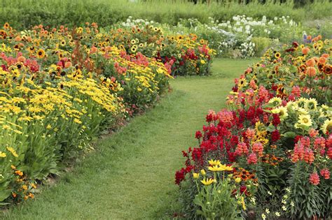 47 Gorgeous Perennial Garden Ideas Home Stratosphere