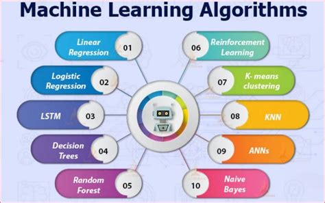 Your Guide For The Commonly Used Machine Learning Algorithms