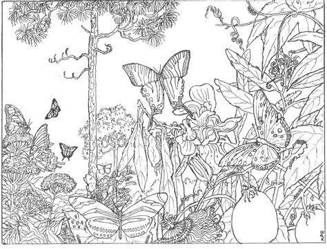 Lets Coloring Enchanted Forest Coloring Bookages Extraordinary