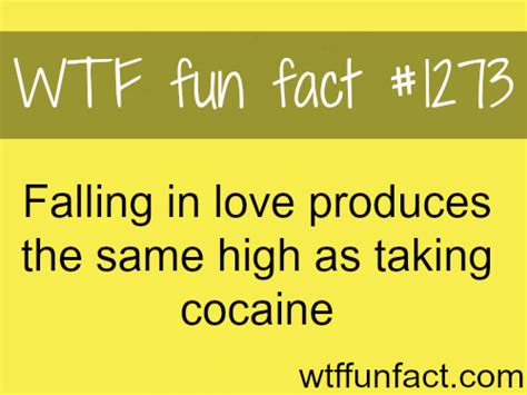 Love Facts More Of Wtf Facts Are Coming Here