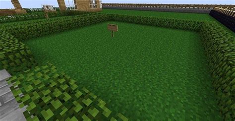 This is a tutorial how to set two block tall plants with worldedit.song: DEFAULT EDIT,better grass,glass,and smoother wood ...