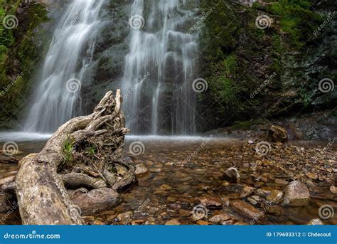 Cascade Falls Over Mossy Rocks In The Forest Stock Photo Image Of