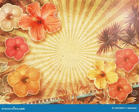 Tropical Vintage Background Stock Photos Image 24934893