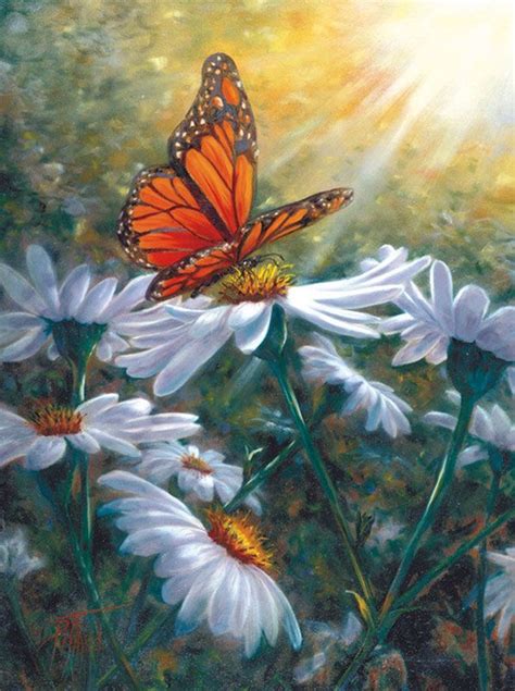 151 Best Images About Butterfly And Flower Paintings On Pinterest