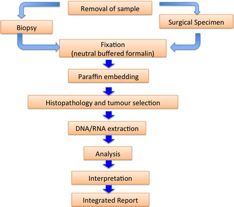 Guidance For Laboratories Performing Molecular Pathology For Cancer