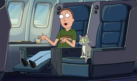 Why Can The Cat Talk In Rick And Morty The Us Sun