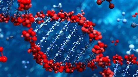 Cercet Torii Pot Rescrie Cu U Urin Codul Genetic Al Organismelor Vii