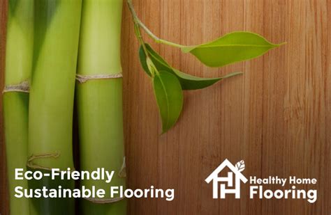 Eco Friendly Sustainable Flooring Options For Green Living