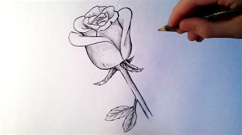 Comment Dessiner Une Rose Tutoriel Roses Drawing Sketches Easy