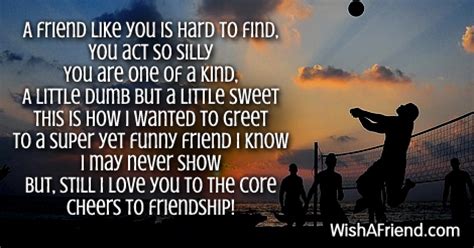 Like you in life , Funny Friendship Poem