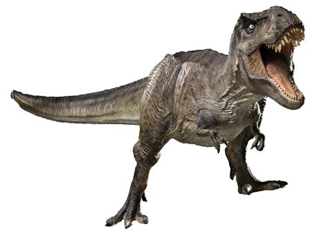 Jurassic World Tyrannosaurus Rex Render 11 By Tsilvadino On Deviantart