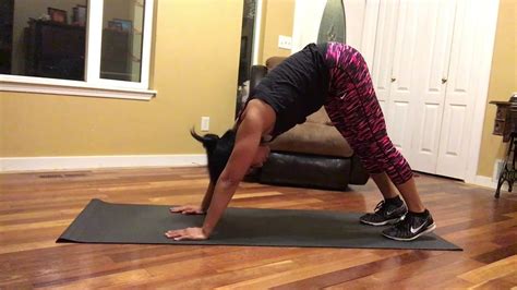5 Minute Planks Dolphin Planks Youtube