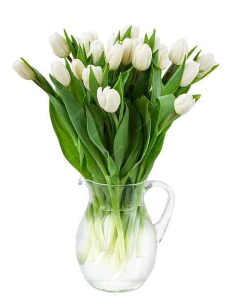 Premium Photo Bouquet Of White Tulips In Glass Vase Isolated On White Space