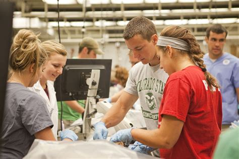 A Look Inside Csus World Class Anatomy Lab Engages Students Of All