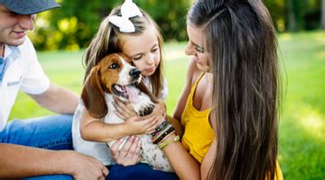 If your pet is experiencing an. Veterinarians in Indio, CA | VCA Valley Animal Medical ...