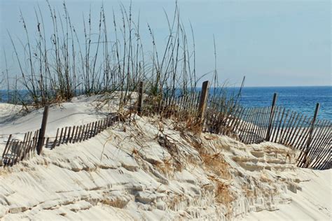 Sand Dune With Fence On Beach Orange Beach Alabama Ocean Art