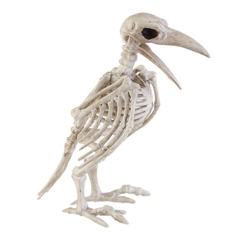 Halloween Crazy Bone Skeleton Raven 100 Plastic Animal Skeleton Bones