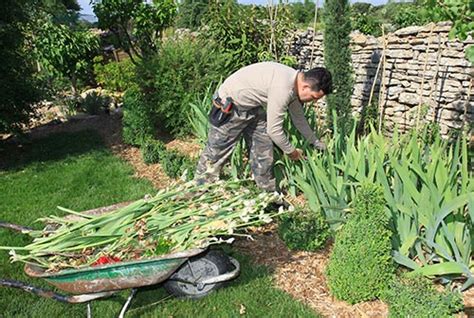 Comment remplir l'attestation pôle emploi cesu à la fin de contrat de votre salarié(e) à domicile ? formation adulte jardinier botaniste - Une formation ...