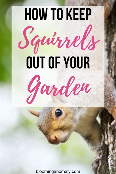 One way to do it is to put the bird feeders on much higher poles. Are you tired of squirrels ruining flower beds in your ...