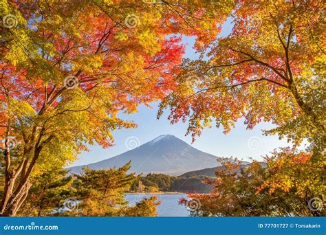 Mountain Fuji Stock Image Image Of Leaf Japanese Nature 77701727