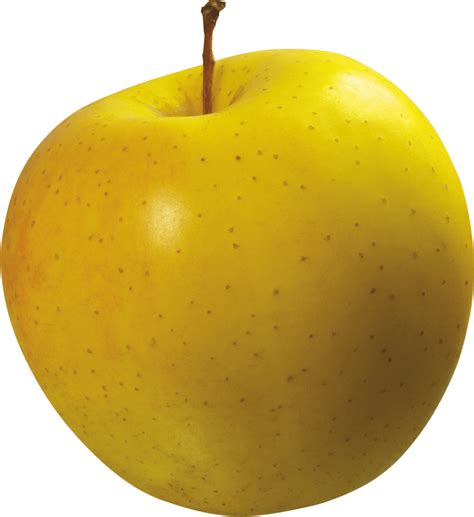 Apple Cameo Yellow Large Transparent Png Stickpng