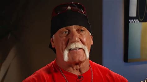 Hulk Hogan Got Wrestling Legend Fired From Wwe According To Former Wwe