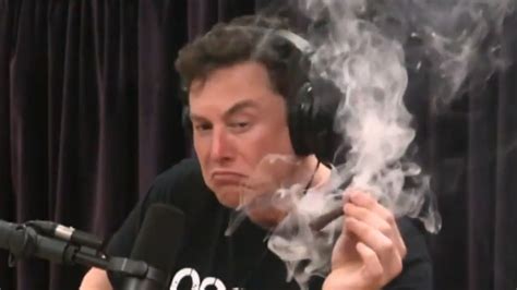 Elon Musk Apareció Fumando Marihuana Durante Una Entrevista Infobae